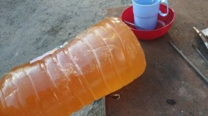 Пчелы! Йод с сиропом! Лечение весной!