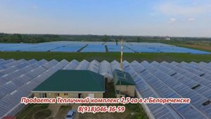 КЛУБНИКА БЕЛОРЕЧЕНСК ТЕПЛИЧНЫЙ КОМПЛЕКС
