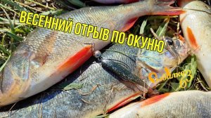 Вот эта рыбалка. Весенний отрыв по окуню. Рыбалка в мае на спиннинг