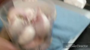 Лучший 100% способ хранения чеснока в особых условиях/Успех в хранении!!!