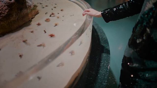 Секрет подводного царства - Модельное видео смотреть онлайн