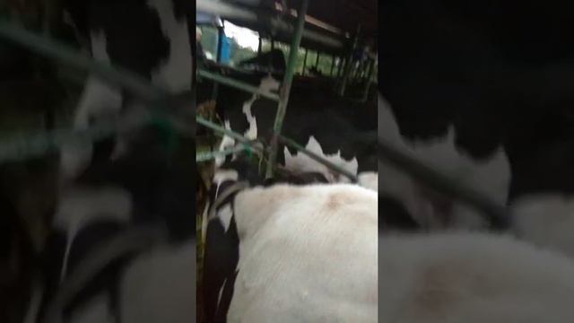 Издевательство над людьми