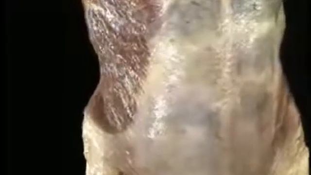 10 Живот смотреть онлайн