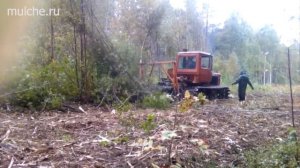 Демонстрация работы мульчера TMC Cancela на тракторе ДТ 75