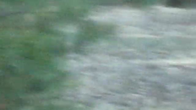 На тяге вальдшнепа смотреть онлайн