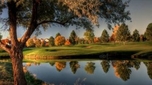 В том краю, у реки. Виталий Русавук