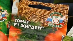 Самые полезные бактерии для почвы. Удачные заметки