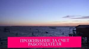 Вакансия для медицинских сестёр в Дубае