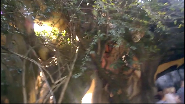 Вьетнам весь видео