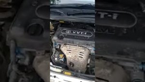 Отзыв клиента gold car777
