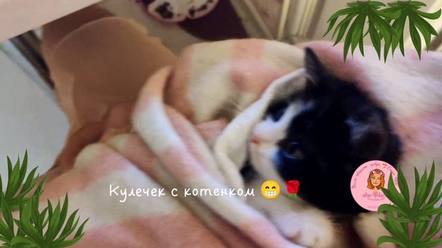 ? Всё детки любят кулечки ? спинальник Тедди? греет свои задние лапки ?