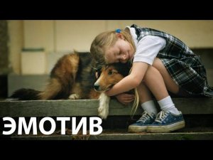 Эмотив | Оперативная психология