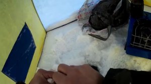 Рыбалка на Селенге....январь - 2018