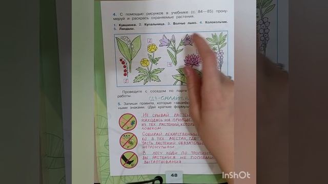 3 класс. ГДЗ. Окружающий мир. Рабочая тетрадь.Часть 1. Плешаков. Страницы 47-49. С комментированием смотреть онлайн