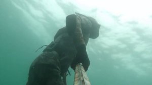 Охота на кефаль осенью. г.Севастополь 12.11.2013г.