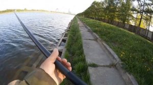 08 мая 2019 года  Ловля на боковой кивок!