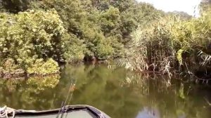 Лодочный мотор москва 12 5 карбюратор К 2401