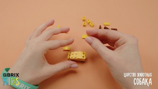 Собираем собаку из конструктора QBRIX KIDS - коллекция детских конструкторов с видеоинструкциями