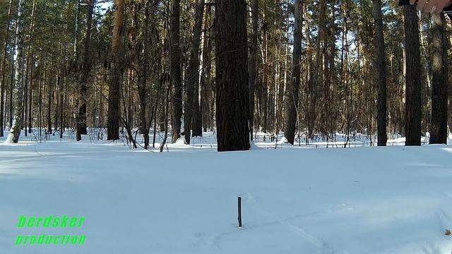 Как определить стороны света по солнцу + костёр и шалаш в снегу смотреть онлайн