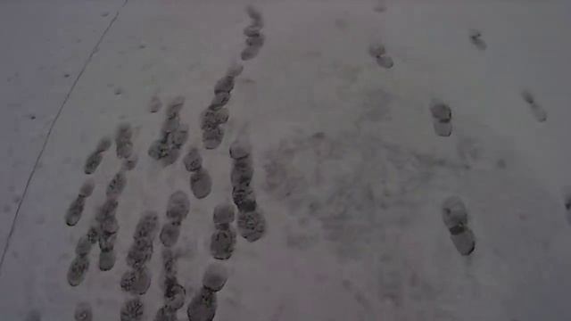 fishing in private lakes in winter. Ловля рыбы зимой сетями на частном  водоем.