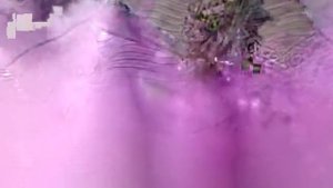 Препарирование лягушки