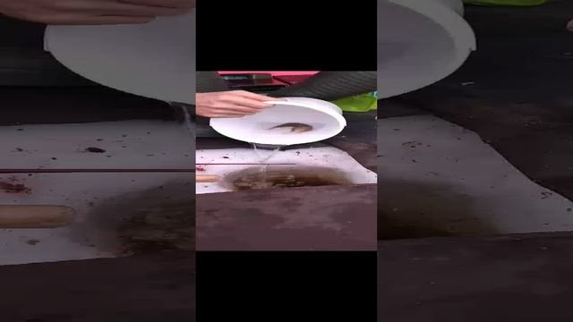 Зарыбляем Водоём 2 смотреть онлайн