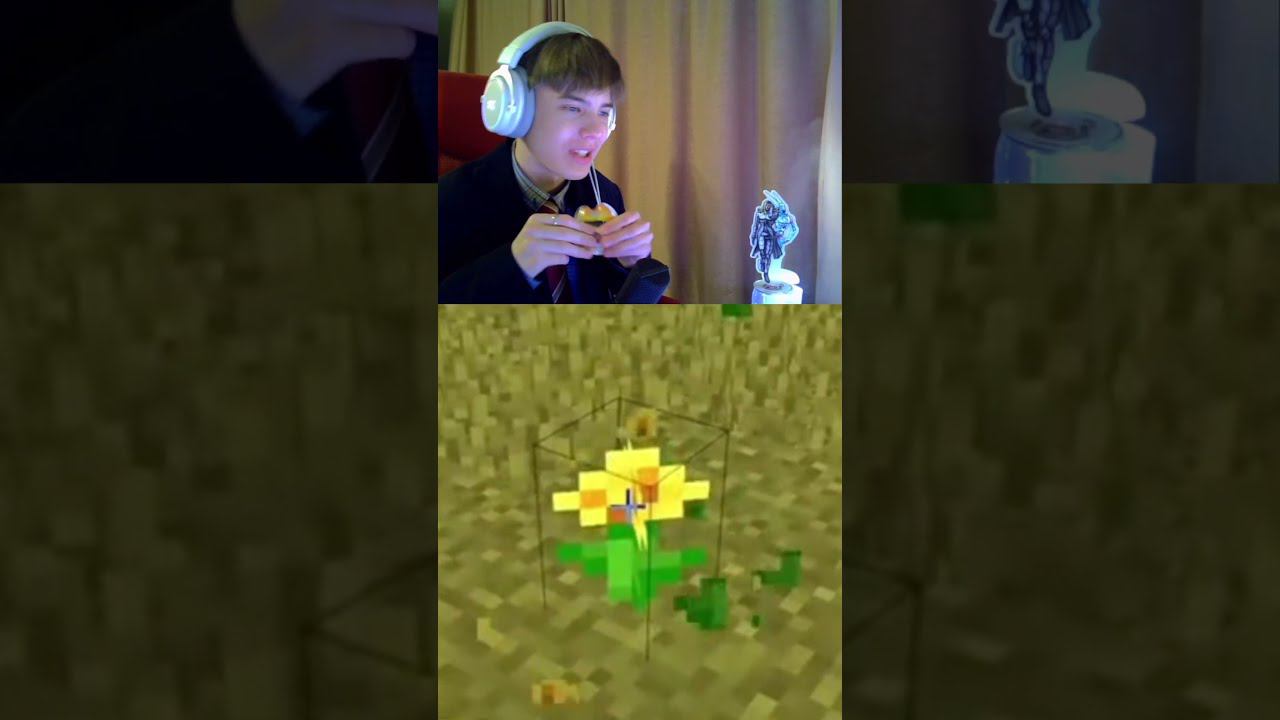 СИГМА хотел ПРОУЧИТЬ его в МАЙНКРАФТ! #shorts #minecraft смотреть онлайн