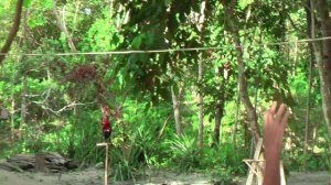 Тропический лес острова Палаван