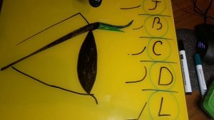 Какие изгибы бывают в Наращивании ресниц и как правильно подобрать изгибWHAT EYELASH EXTENSION CURL