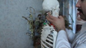 Как поправить шейный лордоз, мануальная правка - Ч1