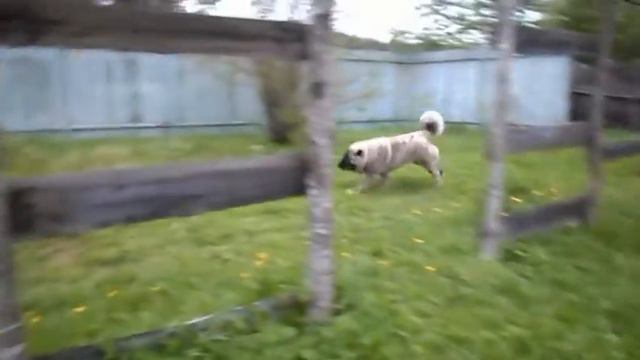 май 2016г смотреть онлайн