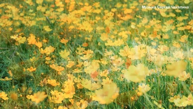 Музыка Сергея Чекалина - Сборник невероятно красивой, завораживающей музыки для души!