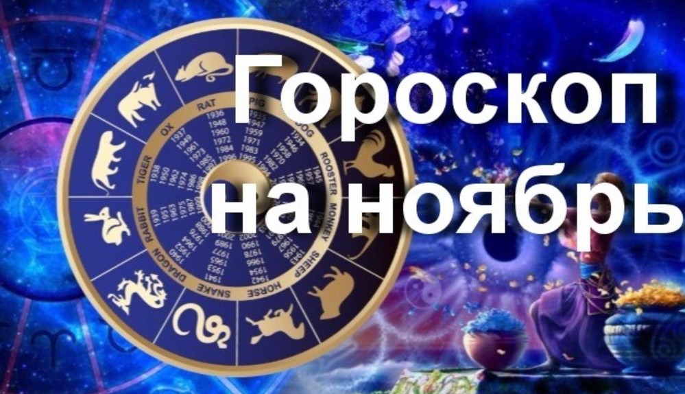 #Аврора #гадание Овны на ноябрь 2023