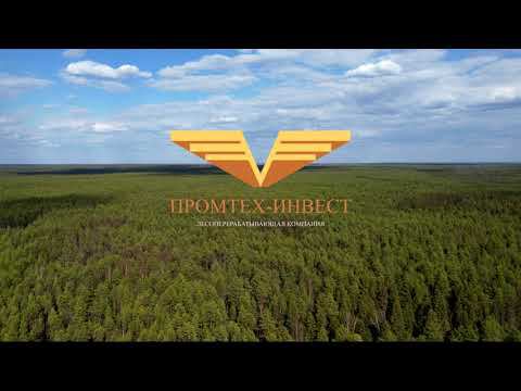 Промтех-инвест (лесозаготовительное предприятие)