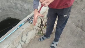 Рыбалка в бассейне.