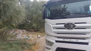 FAW ФАВ за месяц плюсы и минусы