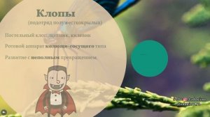 Отряды насекомых. Лекция и разбор заданий от Юрия Беллевича