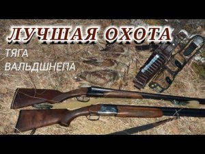 ЛУЧШАЯ ОХОТА // Тяга вальдшнепа!!!