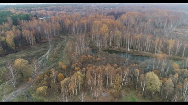 Лосиный остров. Торфянка. Октябрь 2018 г. смотреть онлайн
