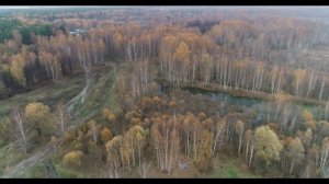 Лосиный остров. Торфянка. Октябрь 2018 г.