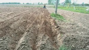 Картофелесожалка самодельная