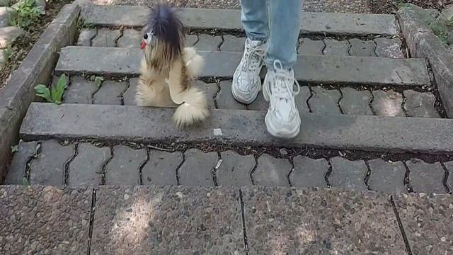 Сон клип история! смотреть онлайн