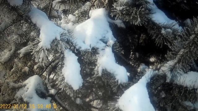 Правдивая сплетница Наталья -- бред сивой кобылы . Заимка на Урале .