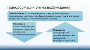 Свойства нервных центров Долганова ОЛД205