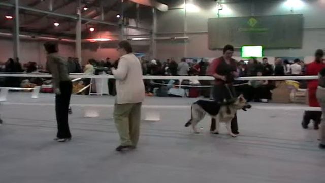 Суки победители