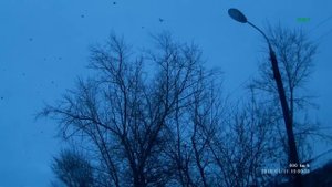 Кроухантинг Crow hunting Январь 2015. Мессеры и глухой алкаш