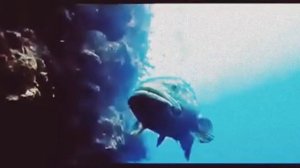 Эликсир бессмертия