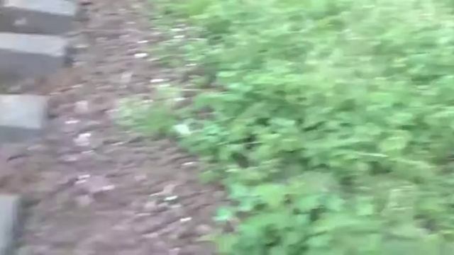 ЧТО БУДЕТ ЕСЛИ ПОЛОЖИТЬ ФИДЖЕТ СПИНЕР ПО ПОЕЗД? смотреть онлайн