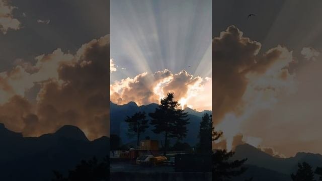 Одиночество