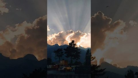 Одиночество